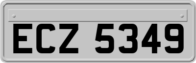ECZ5349