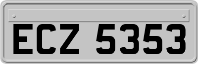 ECZ5353