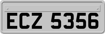 ECZ5356