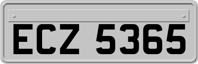 ECZ5365