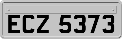 ECZ5373