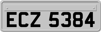 ECZ5384