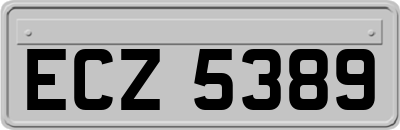 ECZ5389