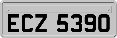 ECZ5390