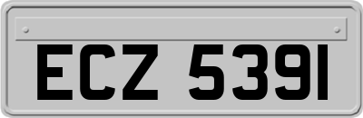 ECZ5391