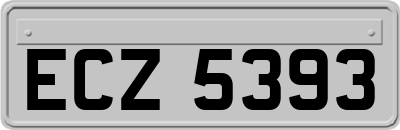 ECZ5393