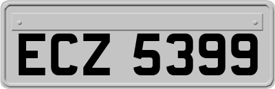 ECZ5399