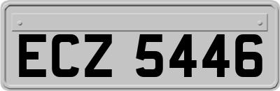 ECZ5446