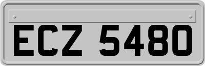 ECZ5480