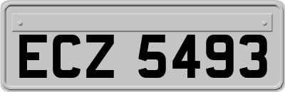 ECZ5493