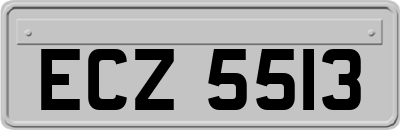ECZ5513