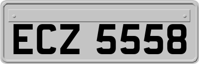 ECZ5558