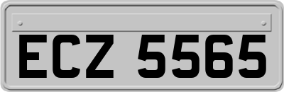 ECZ5565