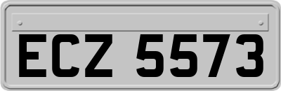 ECZ5573