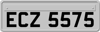 ECZ5575