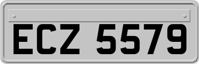 ECZ5579