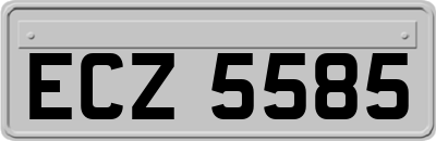 ECZ5585
