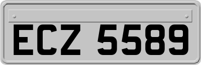 ECZ5589