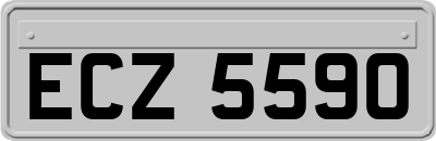 ECZ5590