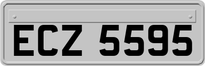 ECZ5595