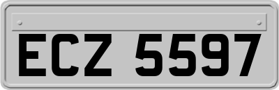 ECZ5597