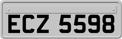 ECZ5598