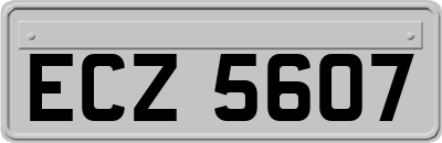 ECZ5607