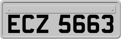 ECZ5663