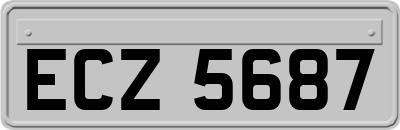 ECZ5687