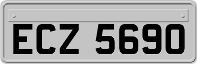 ECZ5690