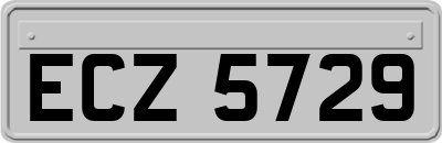 ECZ5729