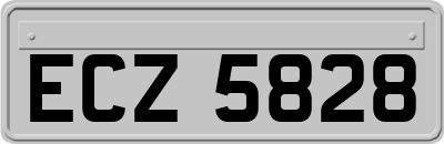 ECZ5828