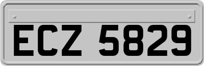 ECZ5829