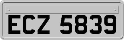 ECZ5839