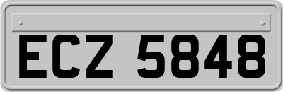 ECZ5848