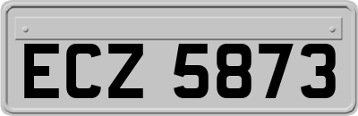 ECZ5873