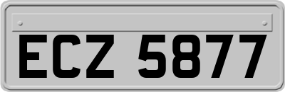ECZ5877