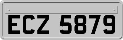 ECZ5879