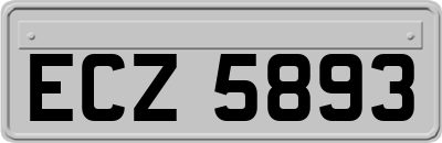 ECZ5893
