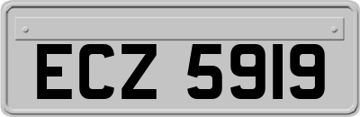 ECZ5919