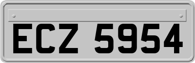 ECZ5954