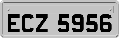 ECZ5956
