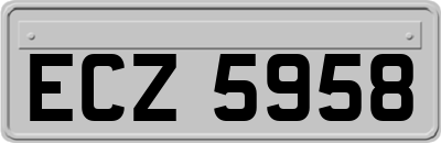 ECZ5958