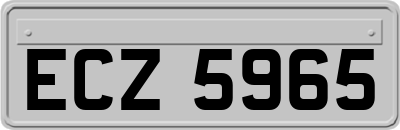 ECZ5965