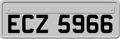 ECZ5966