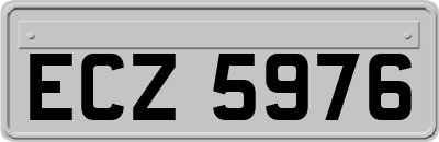 ECZ5976