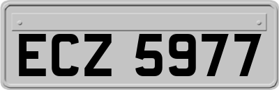 ECZ5977
