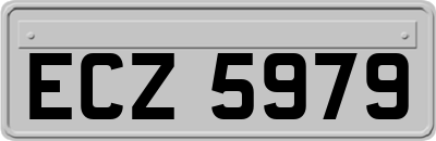 ECZ5979