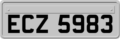 ECZ5983