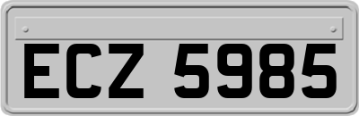 ECZ5985